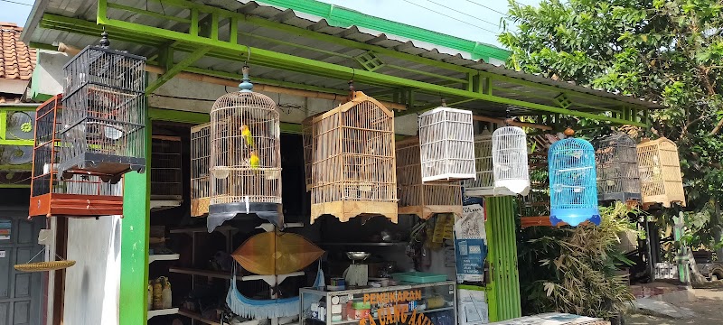 Gobel Bird Farm: Jantung Kehidupan Burung di Cilacap